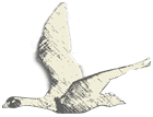 Anflug